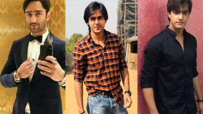 Shaheer Sheikh, Randeep Rai, Mohsin Khan: Television Actors And Their Famous Show Characters