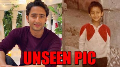 Shaheer Sheikh reveals his best trip