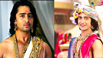 Shaheer Sheikh’s Arjun VS Sumedh Mudgalkar’s Krishn: Which Is Your Favourite Historical Character?