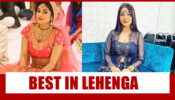 Shehnaaz Gill Best Lehenga Dresses Style To Steal From