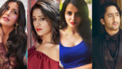 Shrenu Parikh Vs Shivangi Joshi Vs Surbhi Chandna: Which TV Actress Do You Want To See Opposite Shaheer Sheikh?