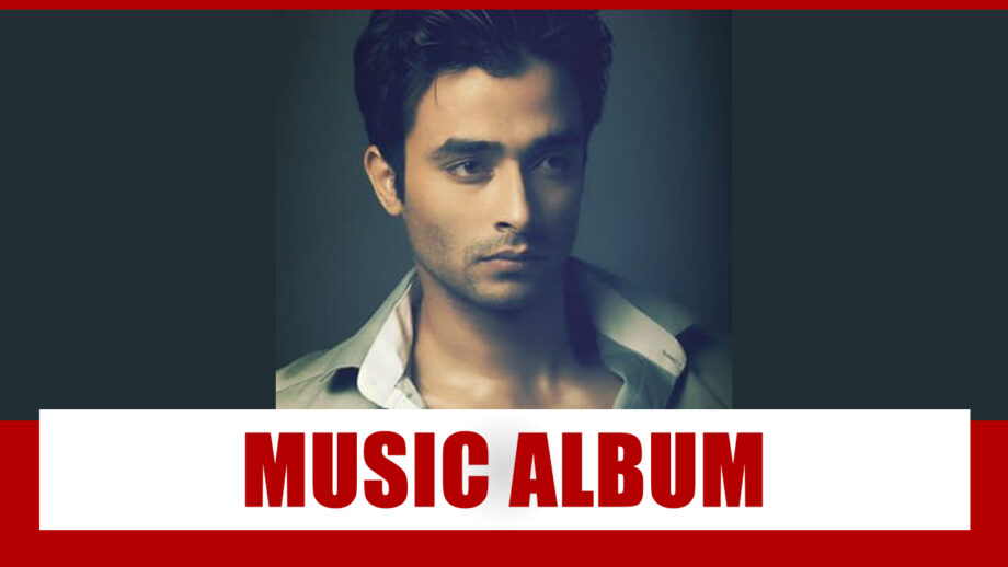 Silsila Badalte Rishton Ka 2 actor Muohit Joshi all set to release a music album