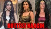 Surbhi Jyoti Vs Nia Sharma Vs Anita Hassanandani: The Hottest Naagin Ever?