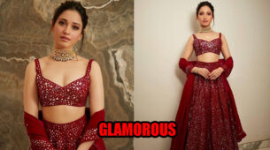Tammanah Bhatia Looks Ravishing In Glimmering Mirror Work Lehenga, Check Pics