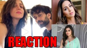 This is what Drashti Dhami and Hina Khan have to say on Nakuul Mehta and wife’s jugalbandi