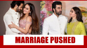 Varun Dhawan-Natasha Dalal, Ranbir Kapoor-Alia Bhatt Marriage Pushed to 2021
