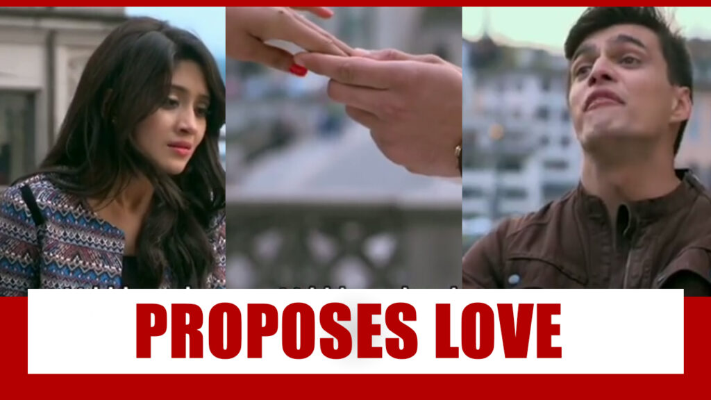 Yeh Rishta Kya Kehlata Hai: The Defining Moment of Love Between Kartik And Naira