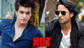 Yeh Rishta Kya Kehlata Hai’s Mohsin Khan VS Yeh Rishtey Hain Pyaar Ke’s Shaheer Sheikh: Who Is HOTTER?