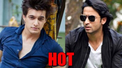 Yeh Rishta Kya Kehlata Hai’s Mohsin Khan VS Yeh Rishtey Hain Pyaar Ke’s Shaheer Sheikh: Who Is HOTTER?