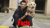 10 facts about Yuzvendra Chahal