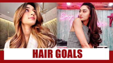 8 Times Kasautii Zindagii Kay Actress Erica Fernandes Gave Us #Hairgoals