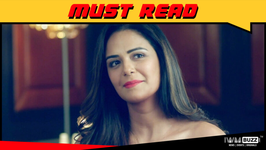 Ananya in Season 3 of Kehne Ko Humsafar Hain is completely opposite to my personality: Mona Singh 1