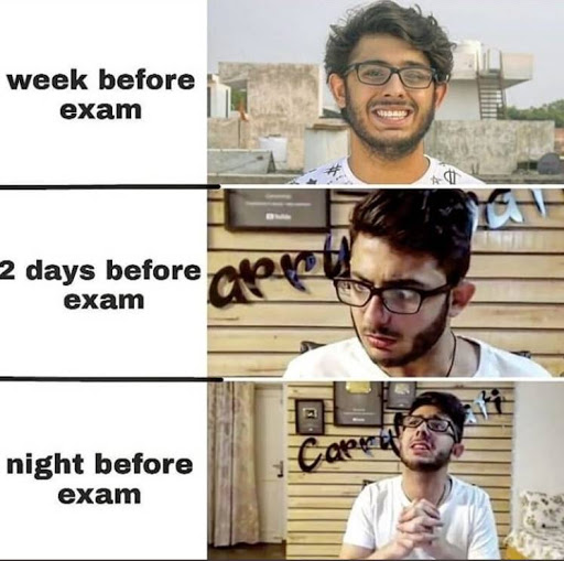 Are You a CarryMinati Fan? You Will, Relate to These Memes - 3