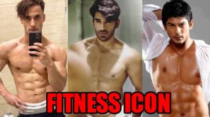 Asim Riaz VS Paras Chhabra VS Sidharth Shukla: Who’s Your Favourite Fitness Icon?