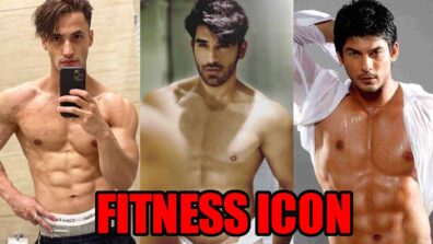 Asim Riaz VS Paras Chhabra VS Sidharth Shukla: Who’s Your Favourite Fitness Icon?