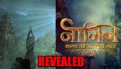 Big details about Naagin 5 show revealed