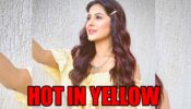 Bigg Boss fame Shehnaaz Gill turns up the heat in sunshine yellow look, fans go crazy