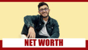 CarryMinati Net Worth Will Leave You Speechless