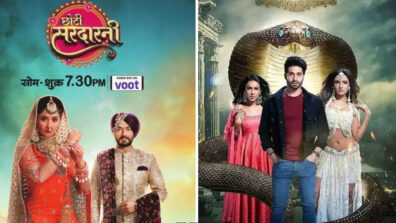 Choti Sarrdaarni Vs Naagin: Which Is Your Favourite Colors TV Show?