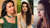 Divyanka Tripathi VS Jasmin Bhasin VS Munmun Dutta: Who Has The Biggest Fan Following?