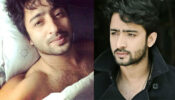Get the comfy and glam look like Shaheer Sheikh!