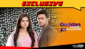Lockdown Episodes of Guddan Tumse Na Ho Payega to AIR from 22 June