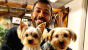 Hardik Pandya: The Pet Lover