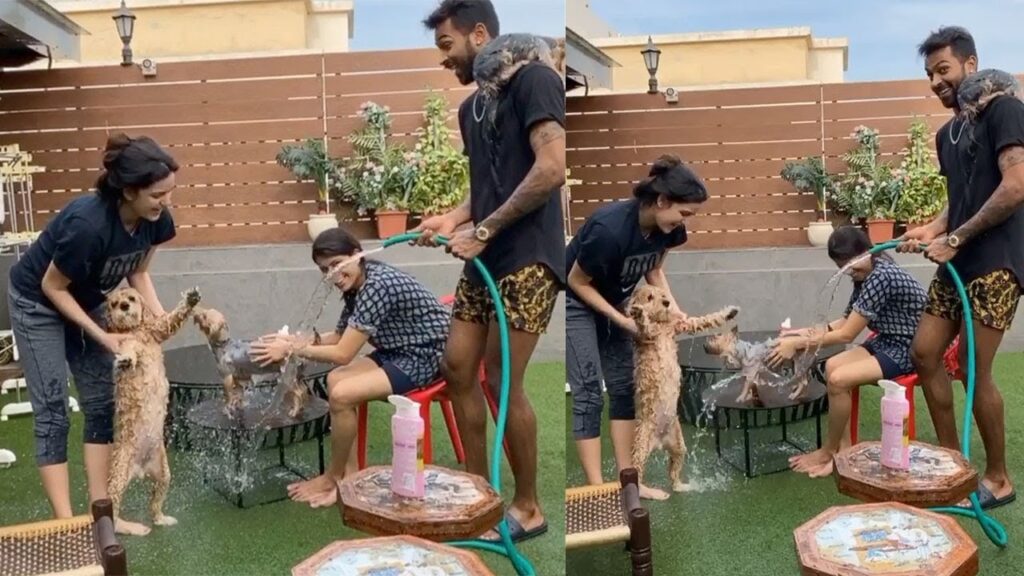 Hardik Pandya: The Pet Lover - 3