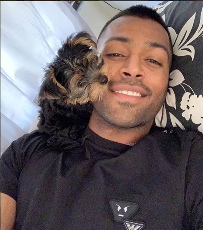 Hardik Pandya: The Pet Lover - 5