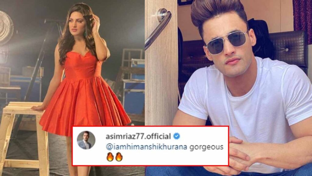 Himanshi Khurana shares stunning picture, rumoured BF Asim Riaz comments 'gorgeous' 1