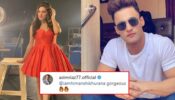 Himanshi Khurana shares stunning picture, rumoured BF Asim Riaz comments ‘gorgeous’