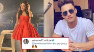 Himanshi Khurana shares stunning picture, rumoured BF Asim Riaz comments ‘gorgeous’