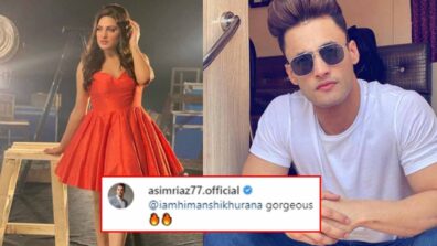 Himanshi Khurana shares stunning picture, rumoured BF Asim Riaz comments ‘gorgeous’