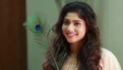 Hot And Unseen Photos Of South Superstar Sai Pallavi