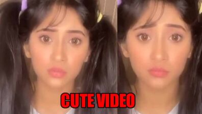 It can’t get cuter than this, Yeh Rishta Kya Kehlata Hai actress Shivangi Joshi is a doll in this video