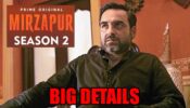 Kaleen Bhaiya reveals big details about Mirzapur 2 release date: Read details