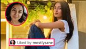 Kasauti Zindagi Kay fame Erica Fernandes shares latest ‘sun kissed’ picture, Prajakta Koli hits the like button