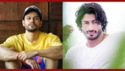 Kunal Khemu, Vidyut Jammwal Protest Against Disney-Hotstar’s Hierarchical Attitude