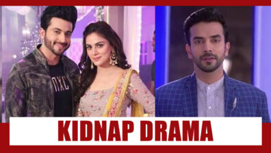 Kundali Bhagya: ‘Kidnap’ track to bring in major drama