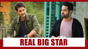 NTR Jr Vs Mahesh Babu: Who Is The Real Big Star?