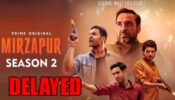 OMG: Mirzapur season 2 delayed? Details inside