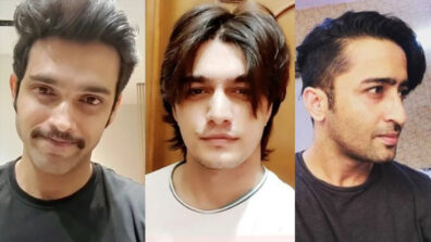 Parth Samthaan, Mohsin Khan, Shaheer Sheikh: Try These Hairstyles For Lockdown