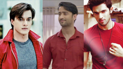 Parth Samthaan, Mohsin Khan, Shaheer Sheikh: TV Celebs Love Red Outfits; Here’s Proof