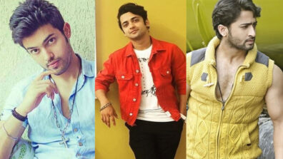 Parth Samthaan Vs Sumedh Mudgalkar Vs Shaheer Sheikh: Who Is The Most Inspiring TV Actor?