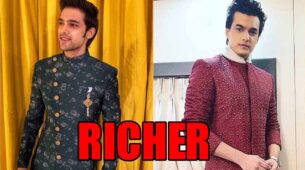 REVEALED: Parth Samthaan VS Mohsin Khan, Who Is Richer?