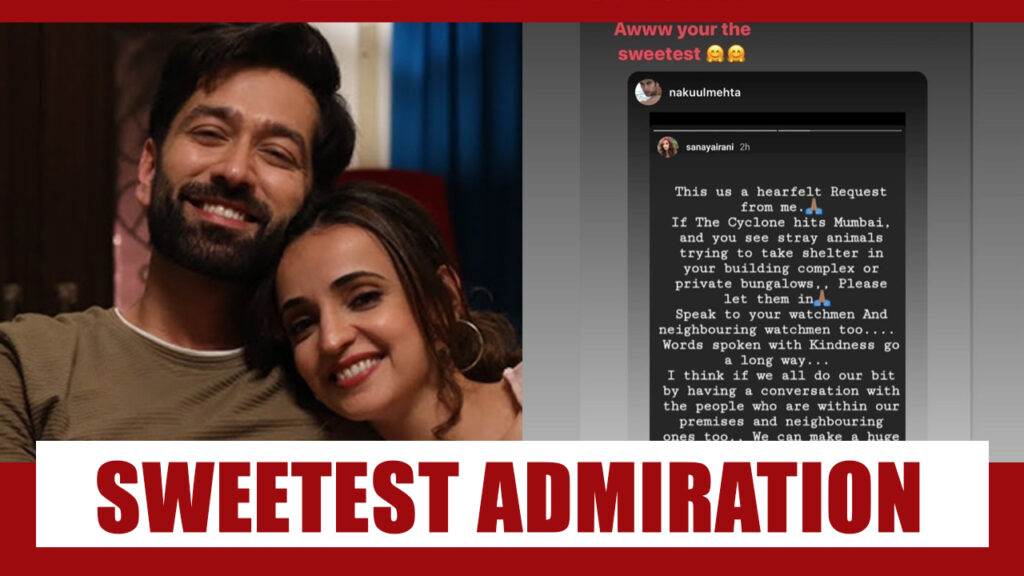 Sanaya Irani posts on her pet care, Nakuul Mehta comments ‘sweetest’