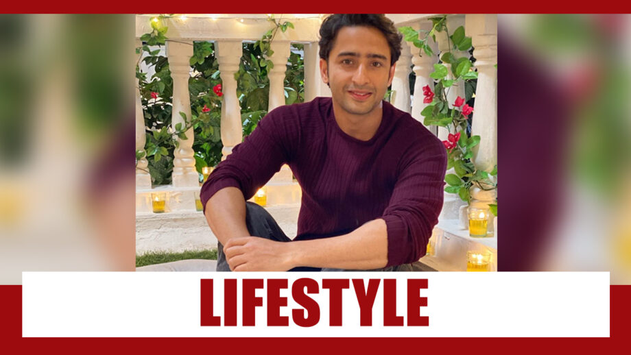 Shaheer Sheikh And His Indonesian Lifestyle REVEALED 4