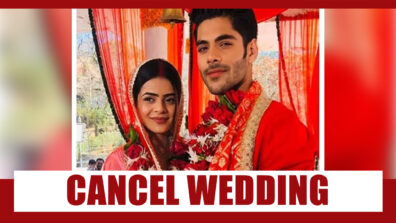 Shakti Astitva Ke Ehsaas Ki: Virat to CANCEL his wedding with Heer