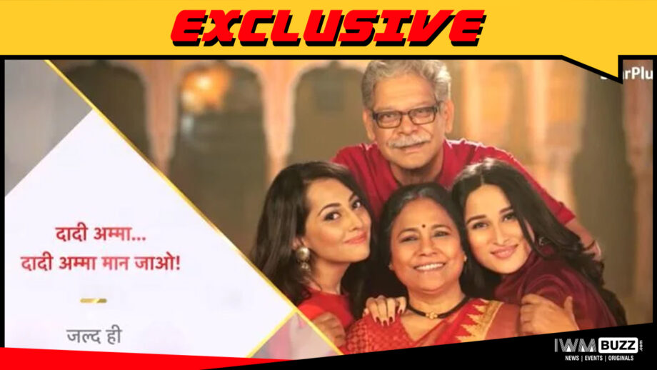 Star Plus’ Dadi Amma… Dadi Amma Maan Jaao NOT to return post COVID-19 break