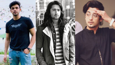 Sumedh Mudgalkar, Parth Samthaan, Shaheer Sheikh’s favorite fashion moments!